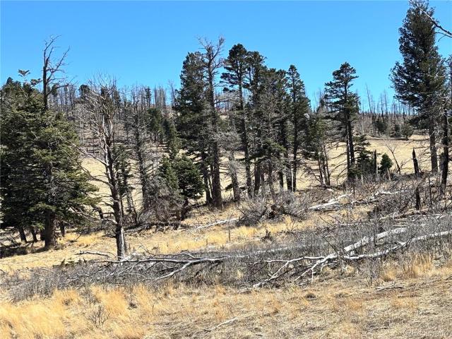 Land for sale in Fort Garland, Colorado