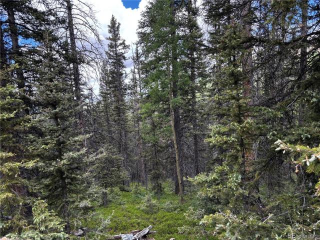 Land for sale in Fort Garland, Colorado