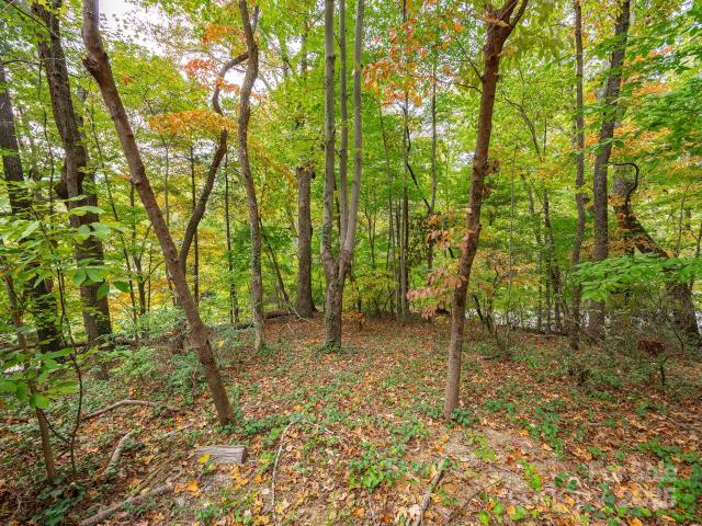 Land for sale in Tryon, North Carolina