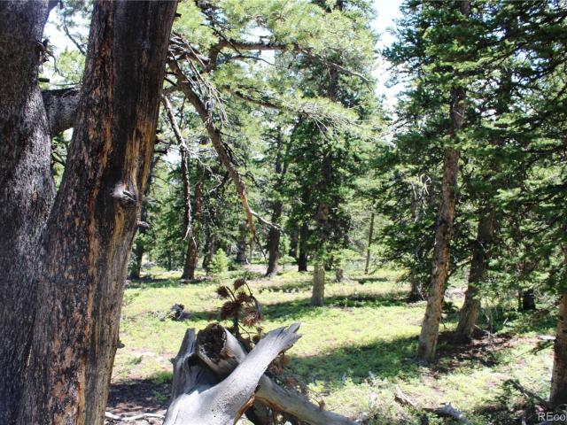 Land for sale in Black Hawk, Colorado