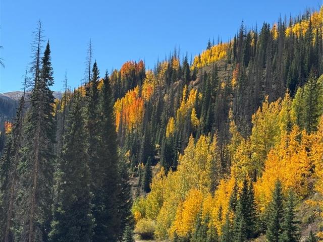 Land for sale in Conejos, Colorado