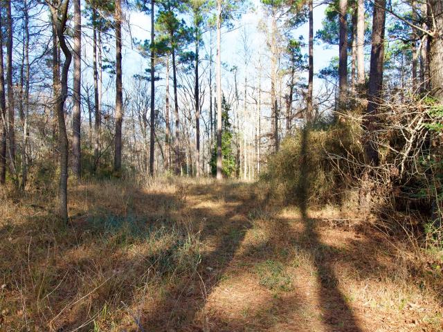 Land for sale in Tadmor, Kennard
