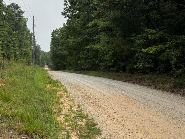 Land for sale in Saluda, South Carolina