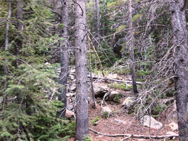 Land for sale in Black Hawk, Colorado