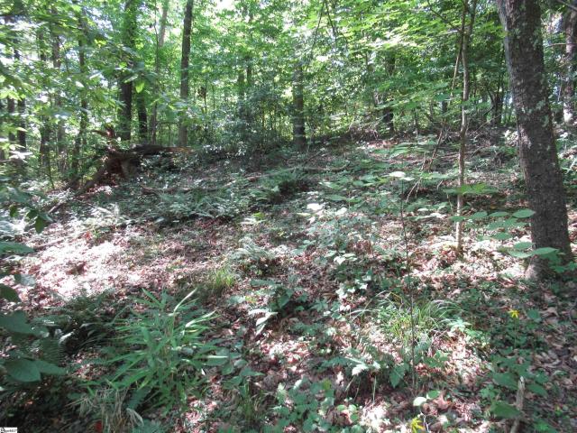 Land for sale in Pickens, South Carolina