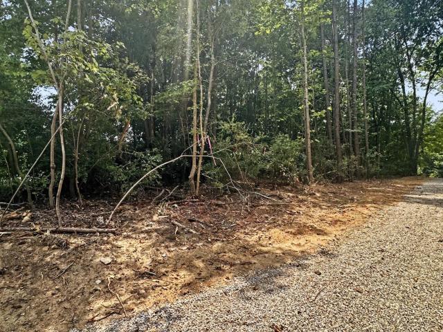 Land for sale in Kittrell, North Carolina