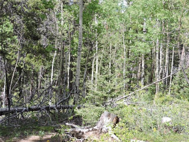 Land for sale in Colorado