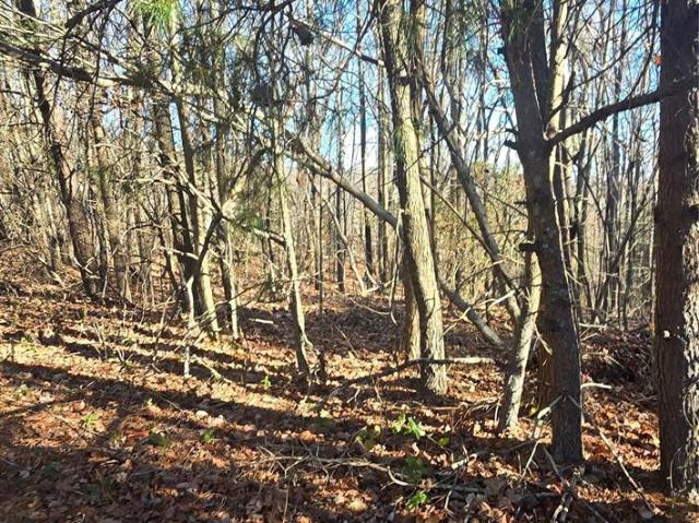 Land for sale in Rutherford, North Carolina