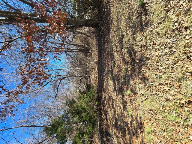 Land for sale in Carbondale, Illinois