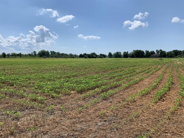 Land for sale in Flat Rock, Michigan