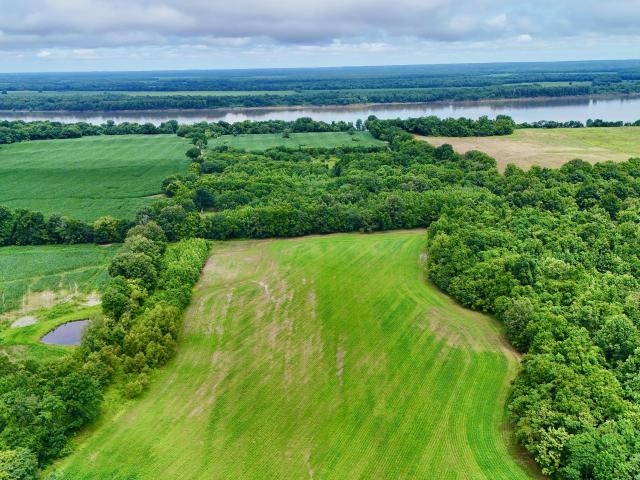 Land for sale in Livingston County, Kentucky