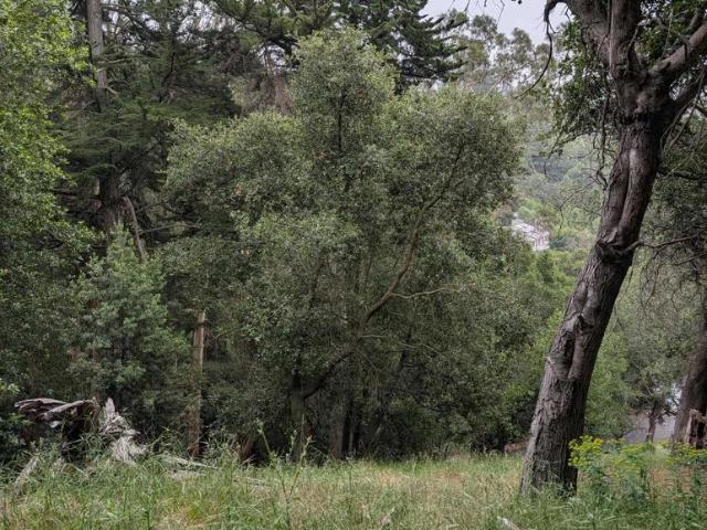 Land for sale in Oakland, California