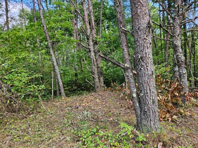 Land for sale in Copperhill