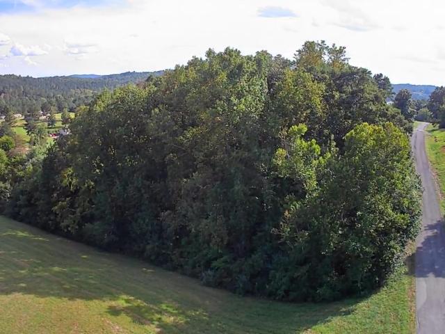 Land for sale in Decatur, East Tennessee