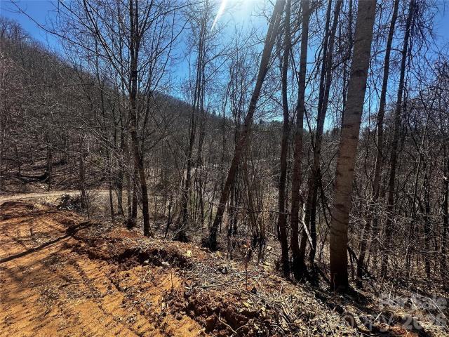Land for sale in Bakersville, North Carolina