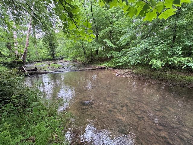 Land for sale in Murphy, North Carolina
