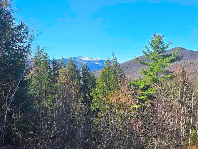 Land for sale in New Hampshire
