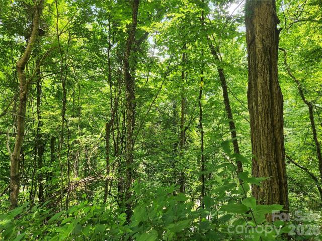 Land for sale in Weaverville, North Carolina