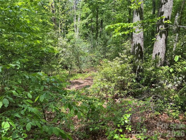 Land for sale in Saluda, North Carolina