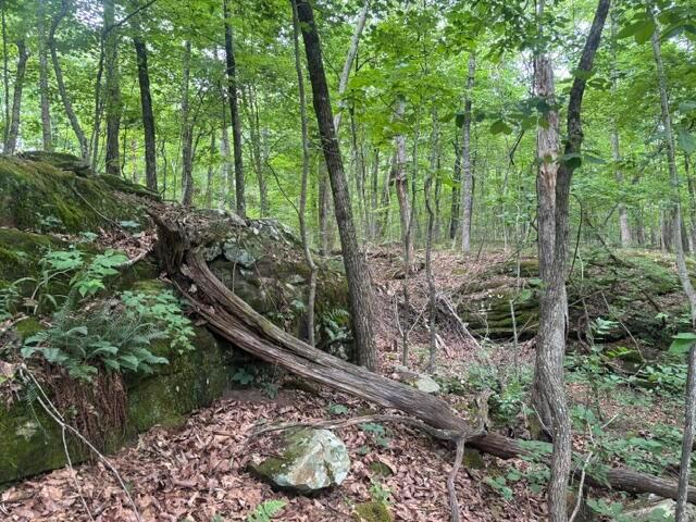 Land for sale in Tennessee