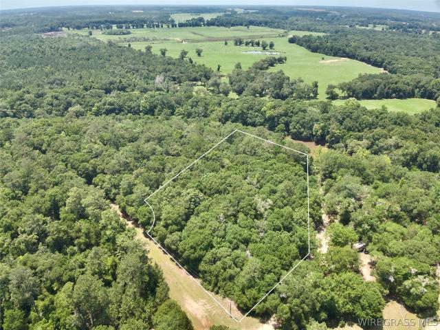 Land for sale in Geneva, Alabama