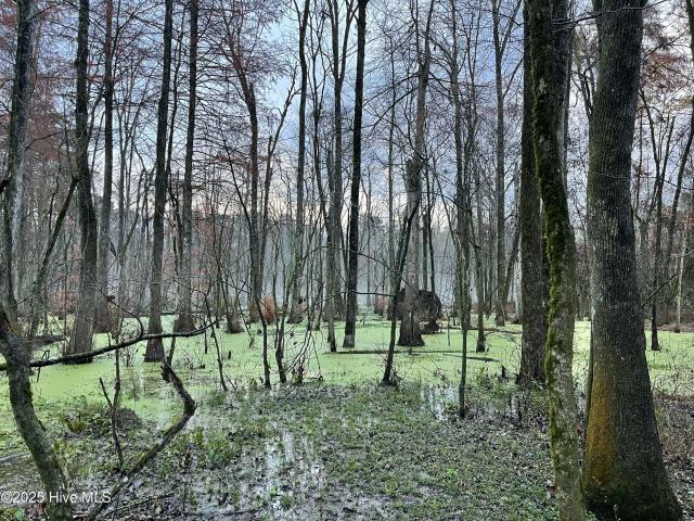 Land for sale in Kenansville, North Carolina