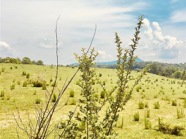 Land for sale in Marion, North Carolina