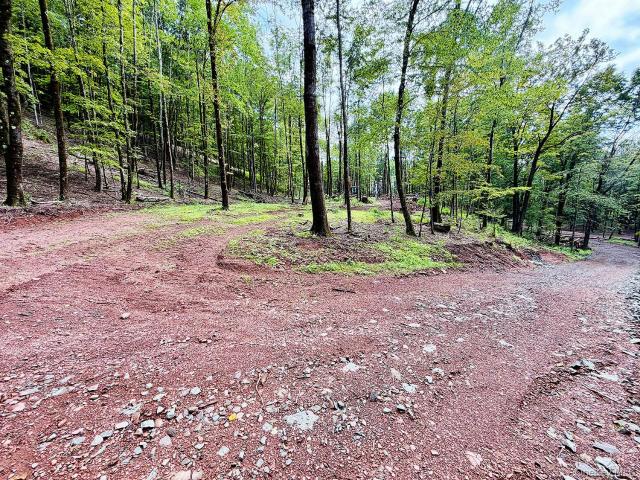 Land for sale in New York