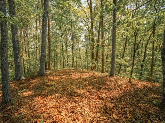 Land for sale in Waleska, Georgia