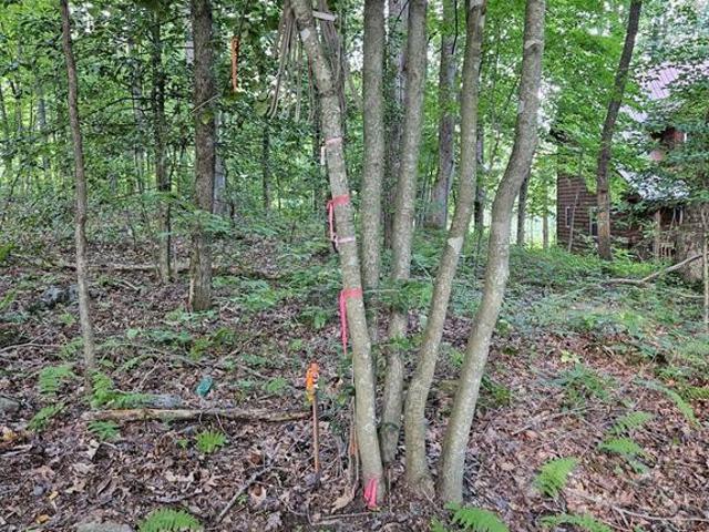 Land for sale in Haywood, North Carolina