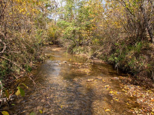 Land for sale in Critz, Patrick County