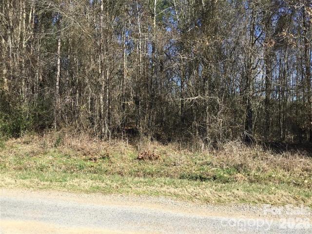 Land for sale in Peachland, North Carolina