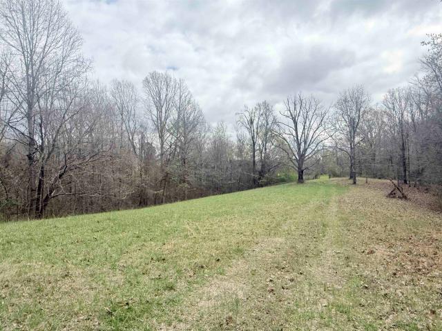 Land for sale in Tuscumbia, Alabama