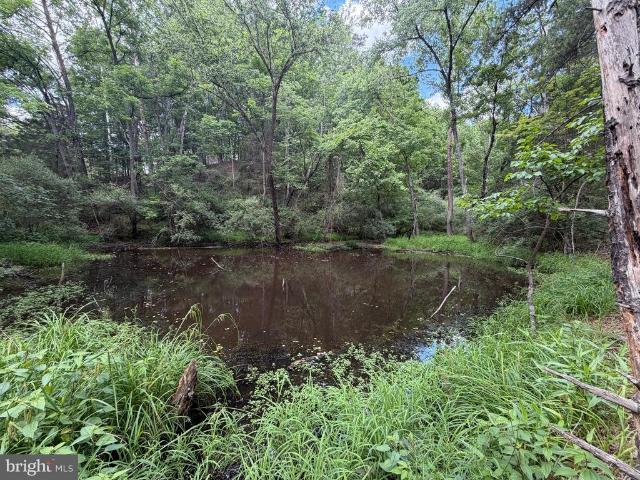Land for sale in Keyser, West Virginia
