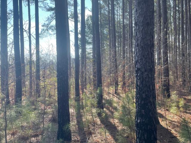 Land for sale in Upson, Georgia