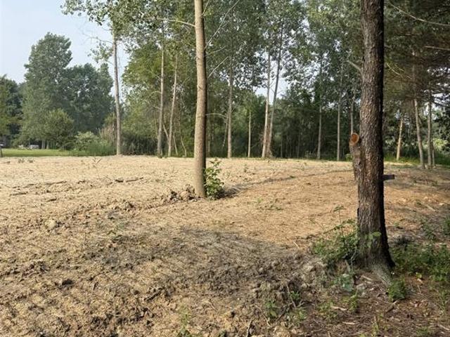 Land for sale in Michigan