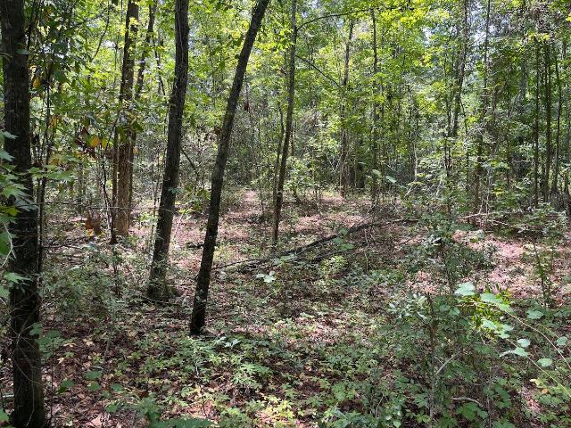Land for sale in Walterboro, South Carolina