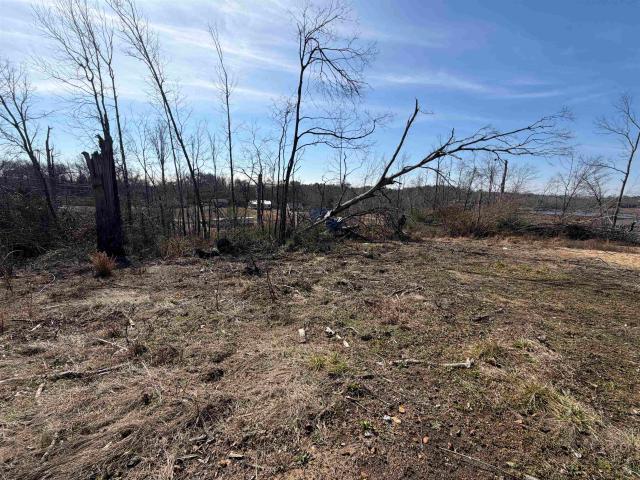 Land for sale in Selmer, West Tennessee