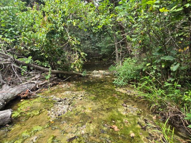 Land for sale in Missouri