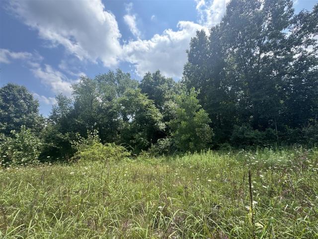 Land for sale in Niles, Michigan