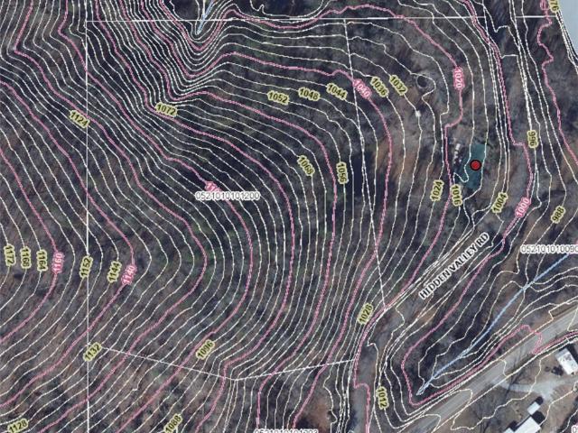Land for sale in Marietta, South Carolina