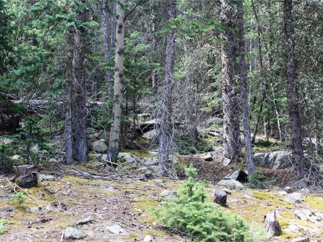 Land for sale in Idaho Springs, Clear Creek County