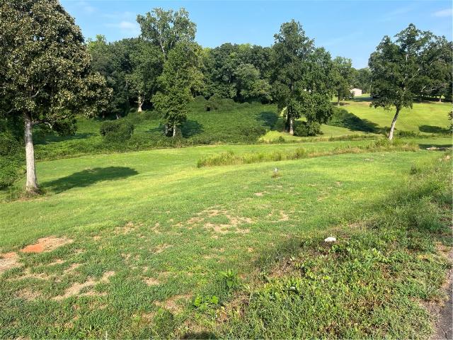 Land for sale in Easley, Pickens County