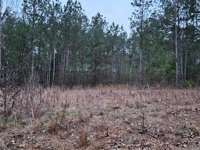 Land for sale in Cross Hill, South Carolina