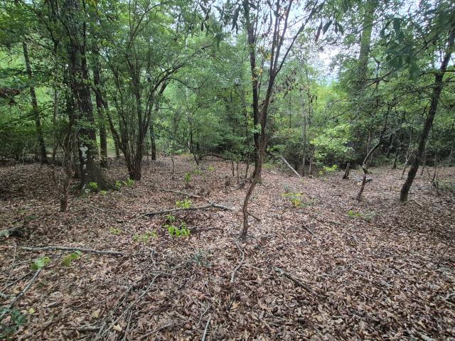 Land for sale in Rabb, Evergreen