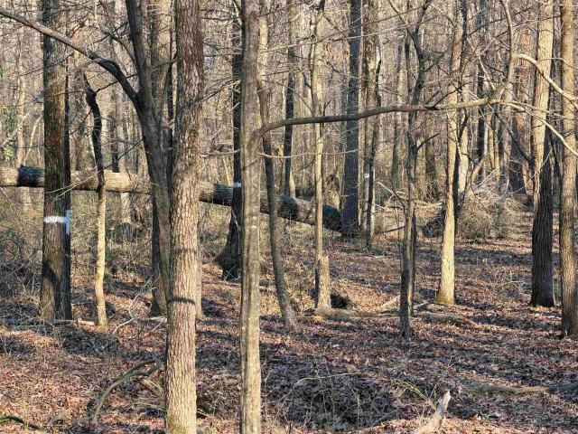 Land for sale in Ark