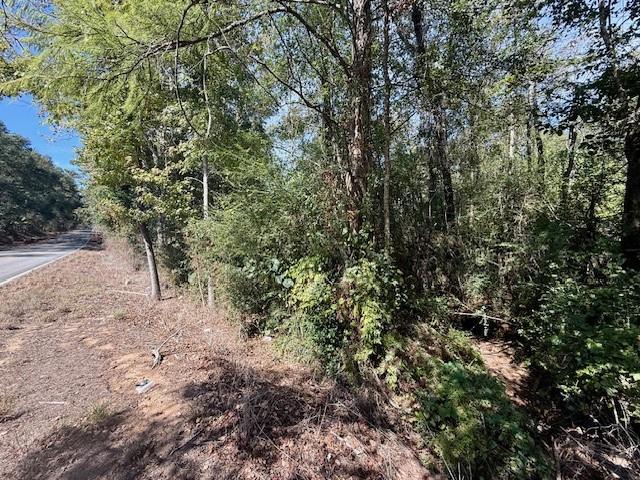 Land for sale in Mount Hermon, Louisiana
