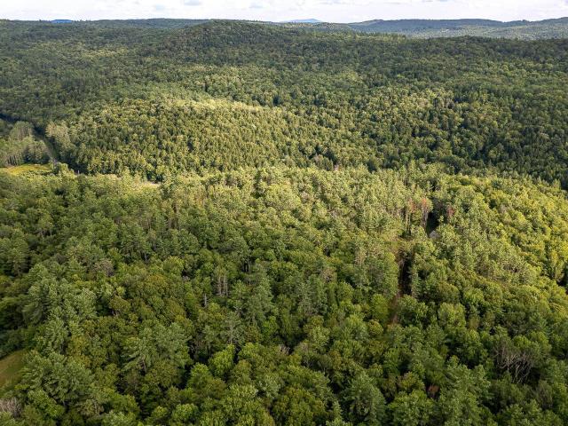 Land for sale in New Hampshire