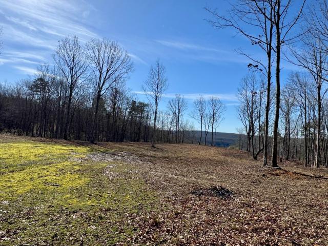 Land for sale in Tennessee