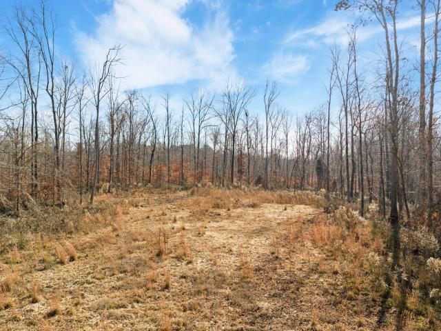 Land for sale in Tennessee